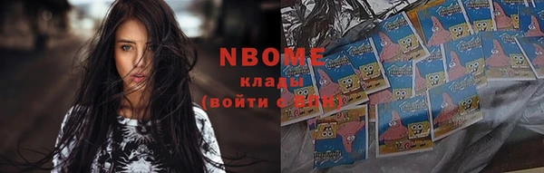 прущие грибы Вязьма