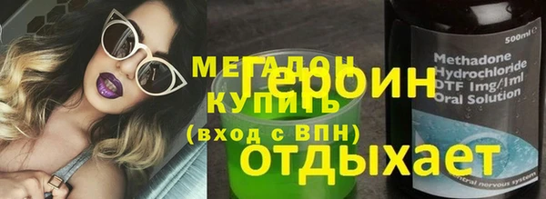 прущие грибы Вязьма
