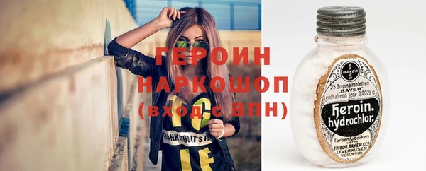 прущие грибы Вязьма