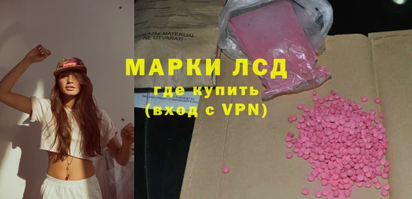 прущие грибы Вязьма