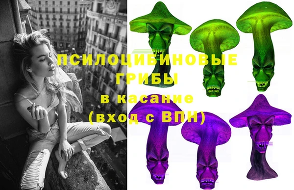 спиды Вяземский