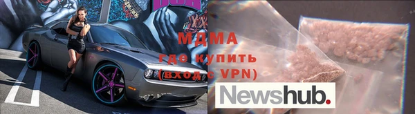 прущие грибы Вязьма