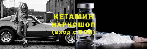 прущие грибы Вязьма