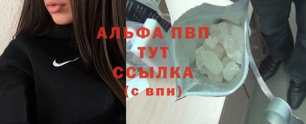 прущие грибы Вязьма