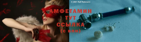 спиды Вяземский