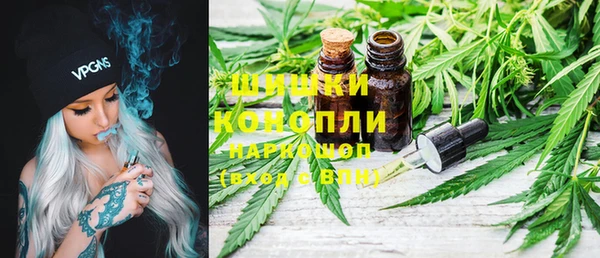 прущие грибы Вязьма