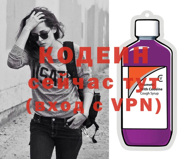 спиды Вяземский