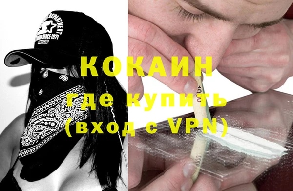 спиды Вяземский