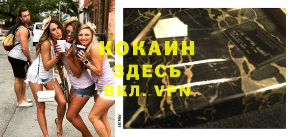 спиды Вяземский