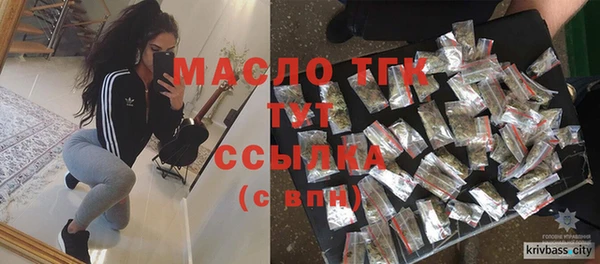 спиды Вяземский