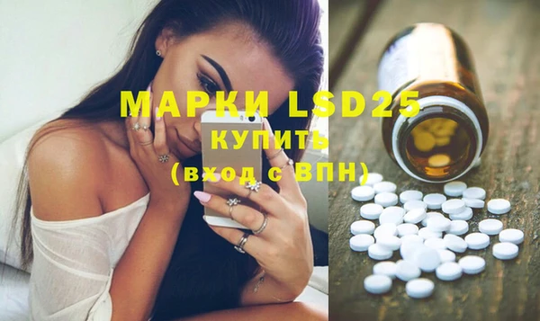 спиды Вяземский