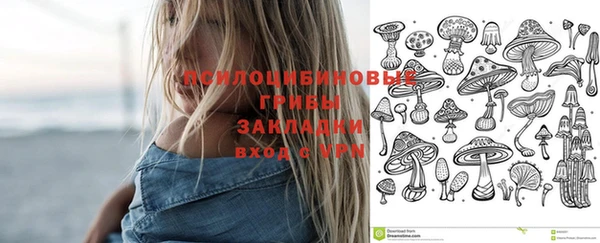 спиды Вяземский