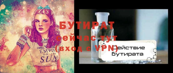 прущие грибы Вязьма