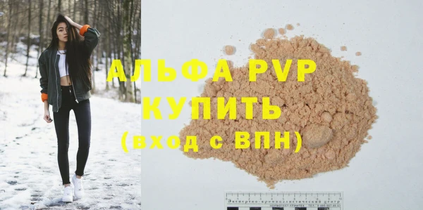 спиды Вяземский