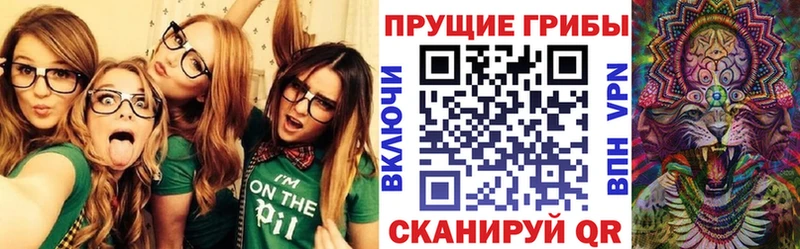 Псилоцибиновые грибы мицелий  Купить  Ясный 
